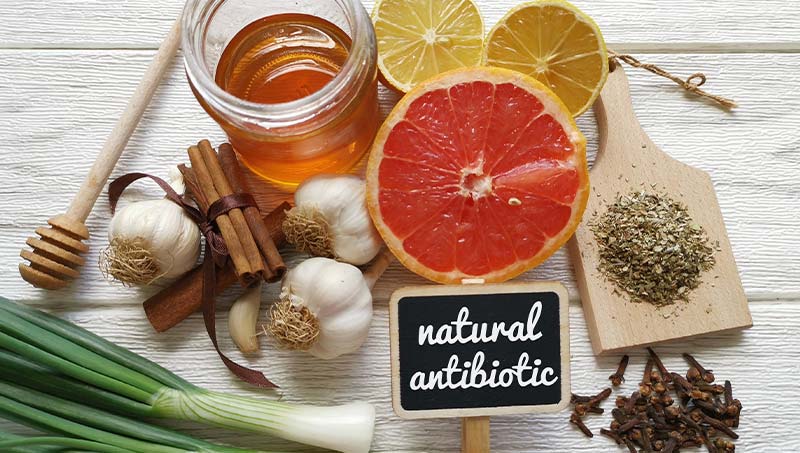 a San Francisco chiropractor at Shapero Chiropractic explains 11 natural antibiotics